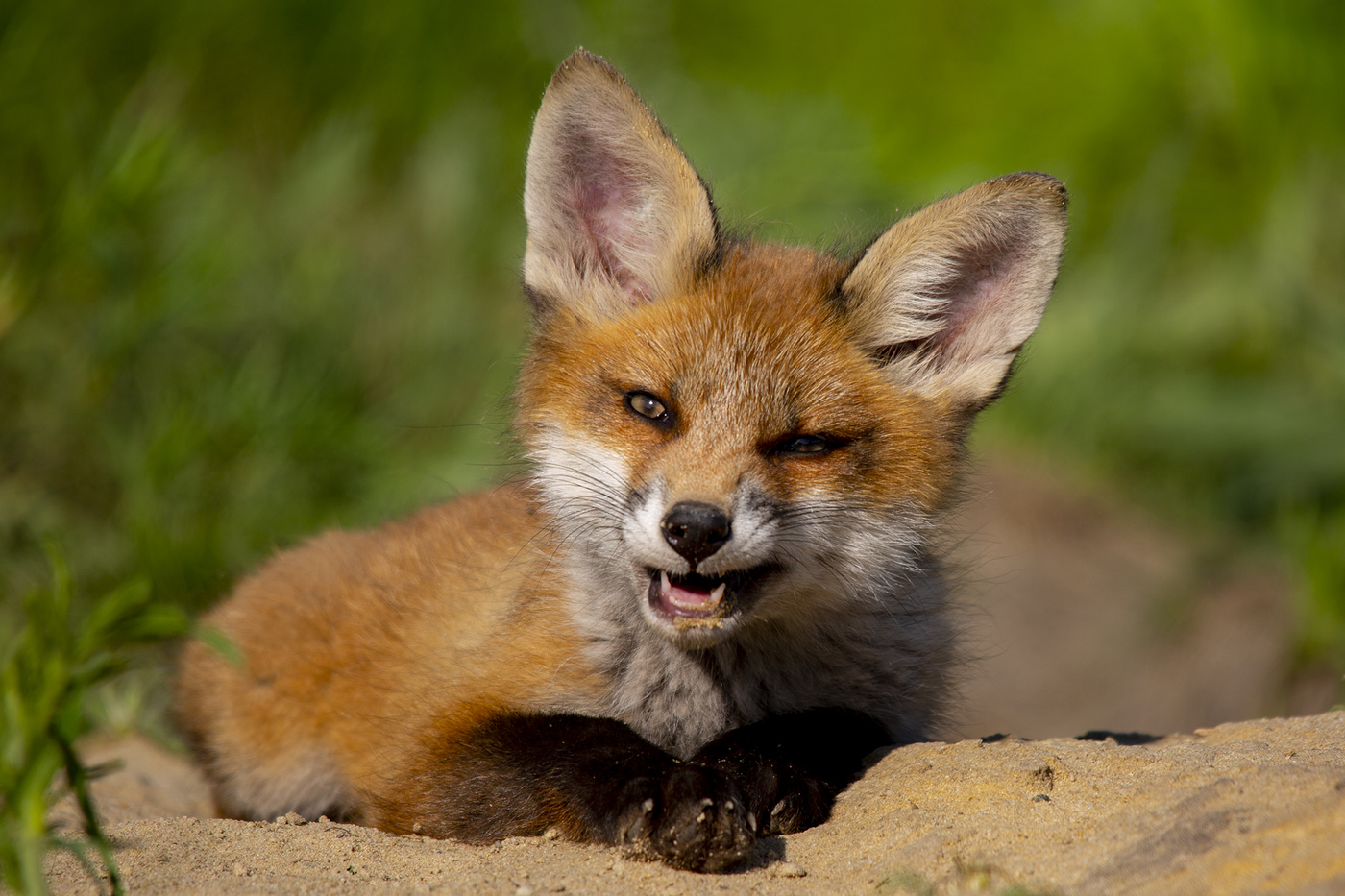 Не зли меня