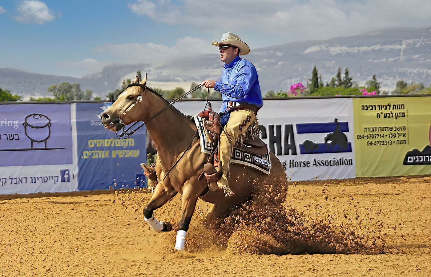 Про ковбоев и лошадок