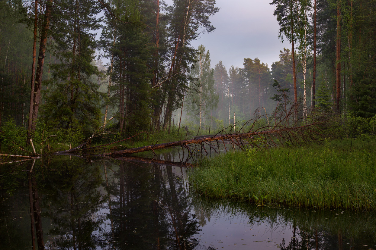 Вечером на Суходоле