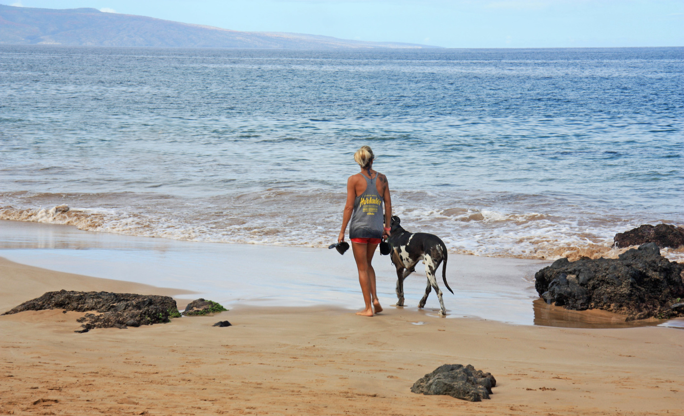 По кромке прибоя...
