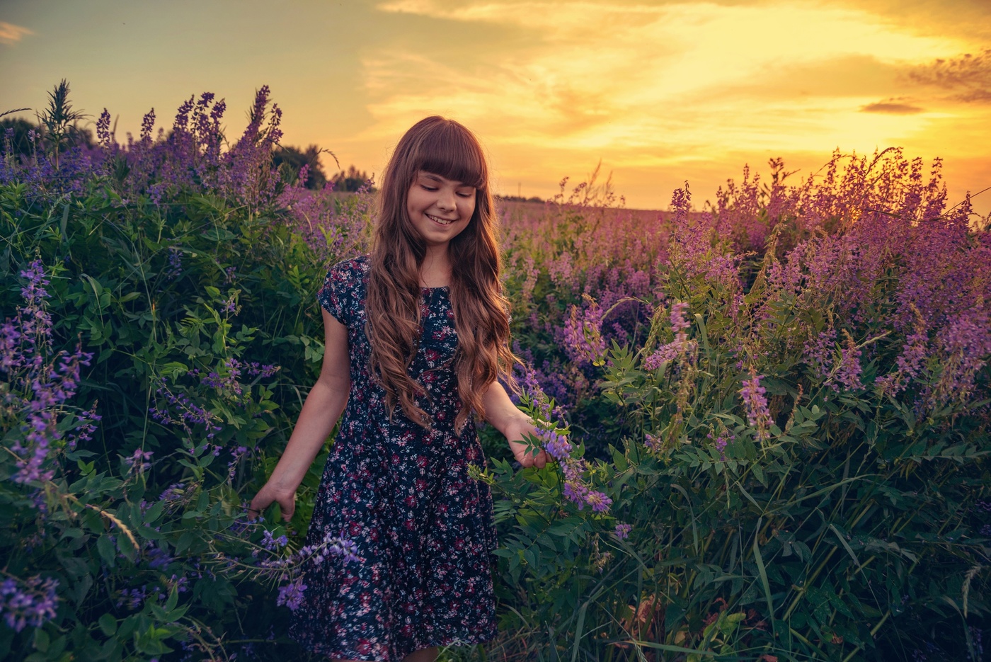 Двойная красота летнего вечера