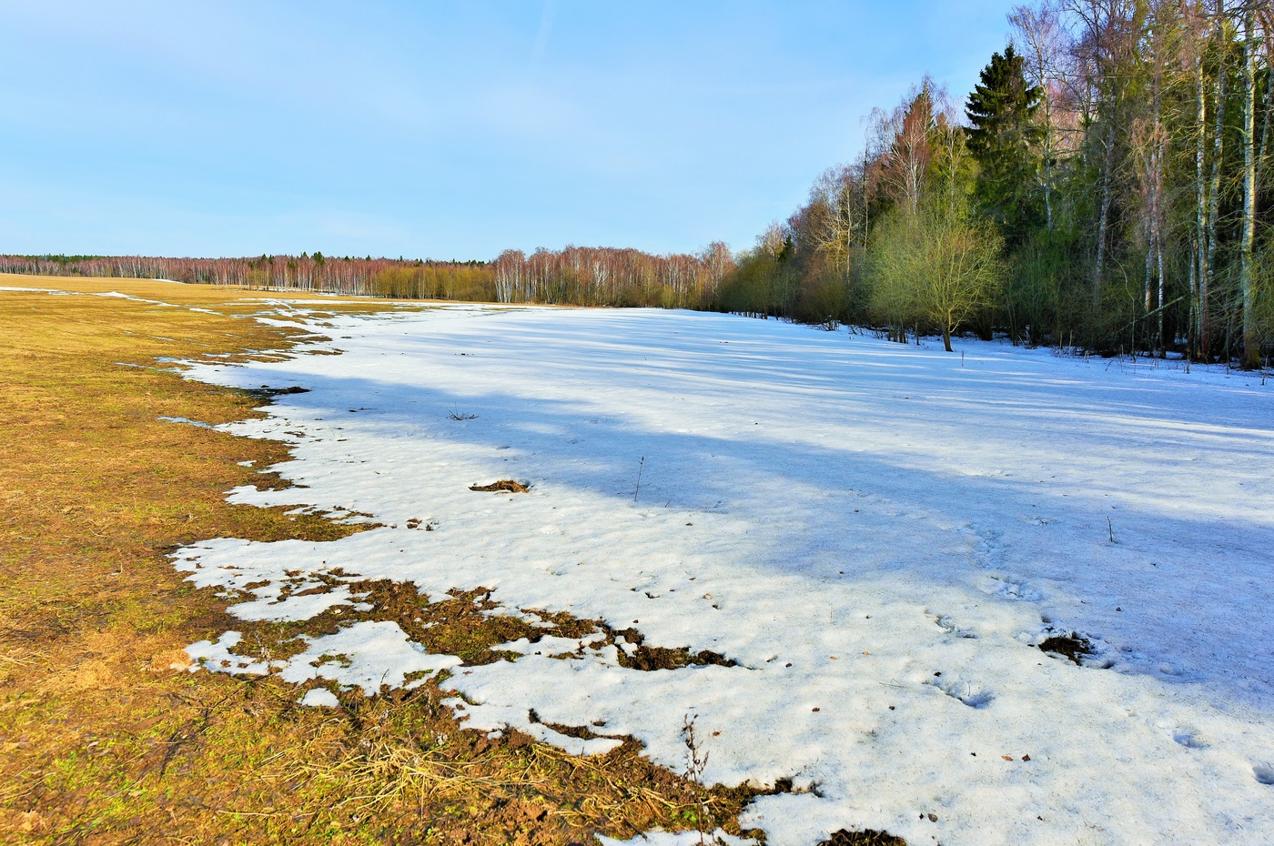 "Еще в полях белеет снег ..." -2