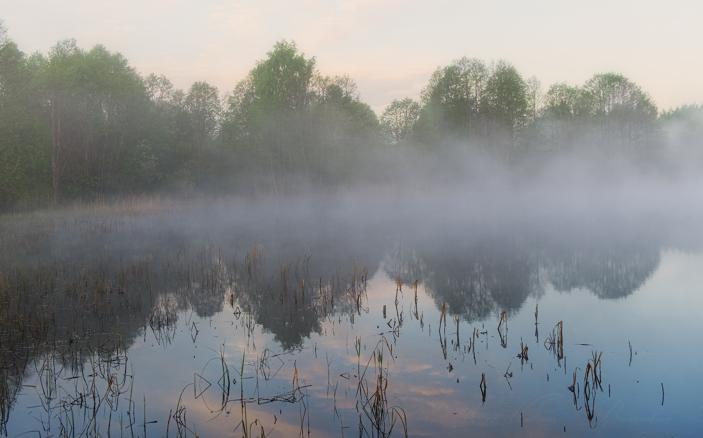 Тишина туманного утра