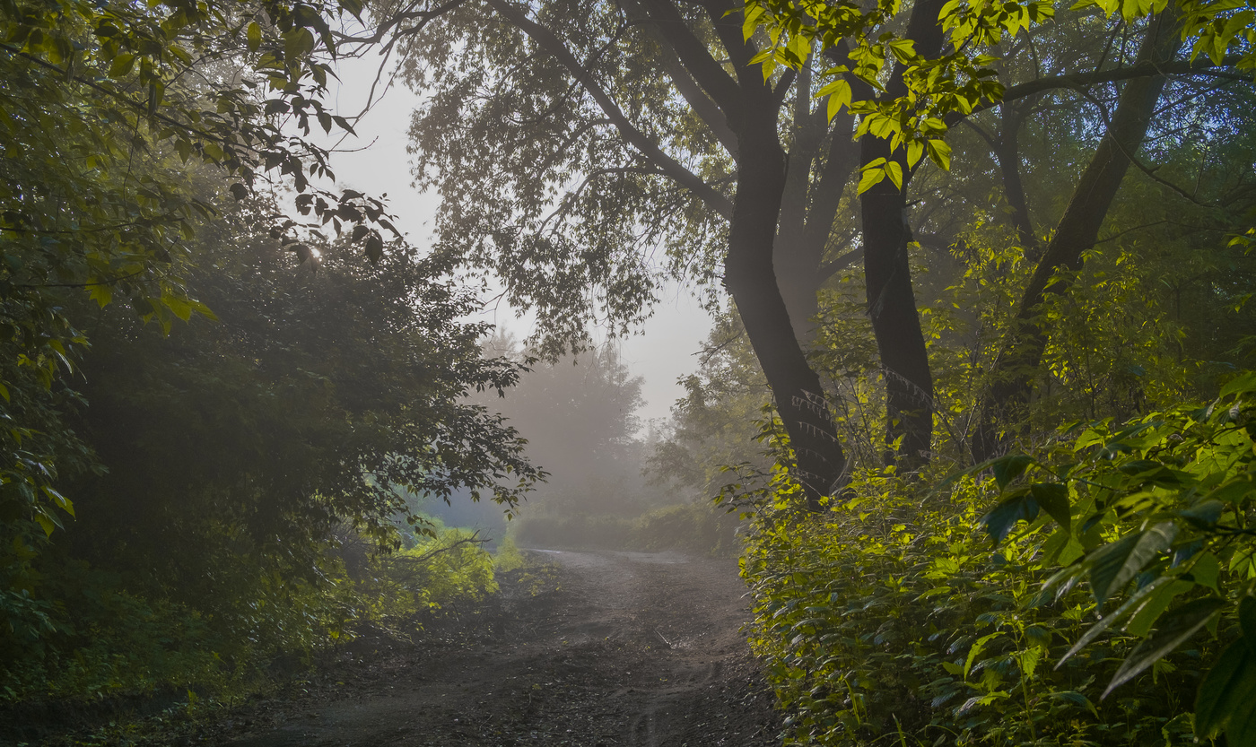 Утром по дорожке.