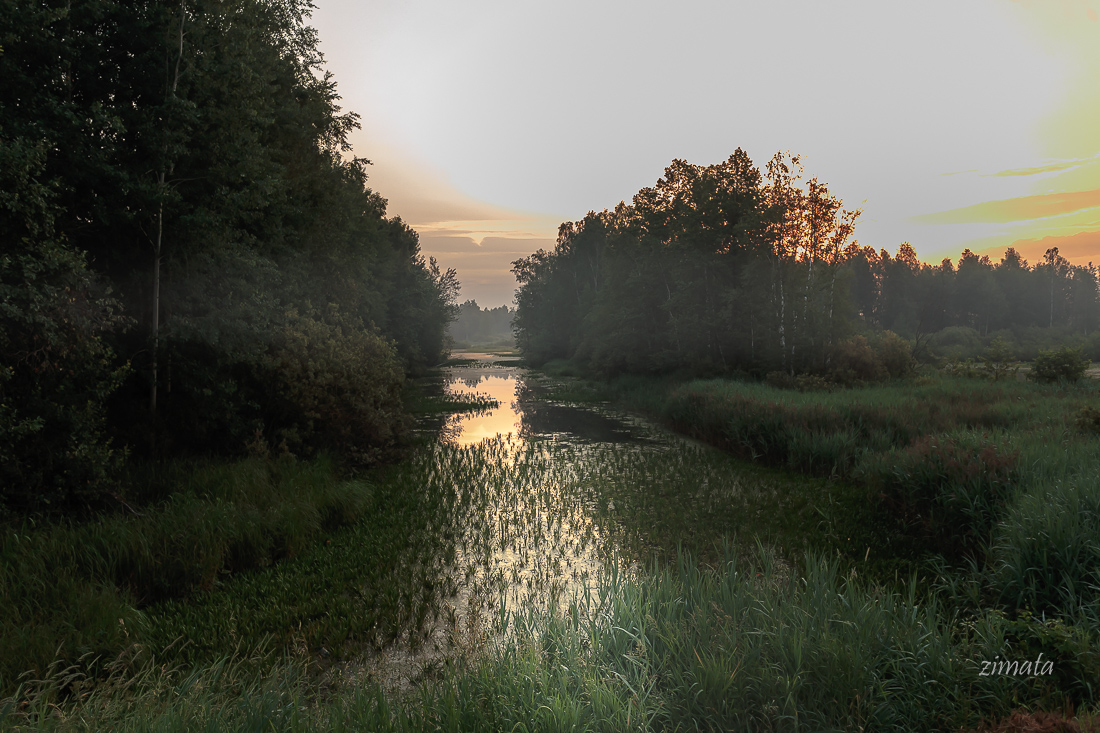 Рассветные отблески