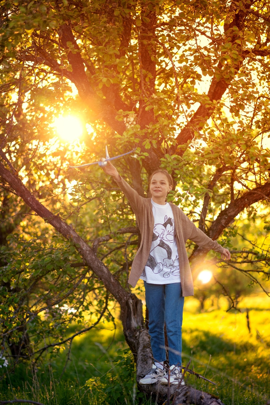 Запуск самолёта