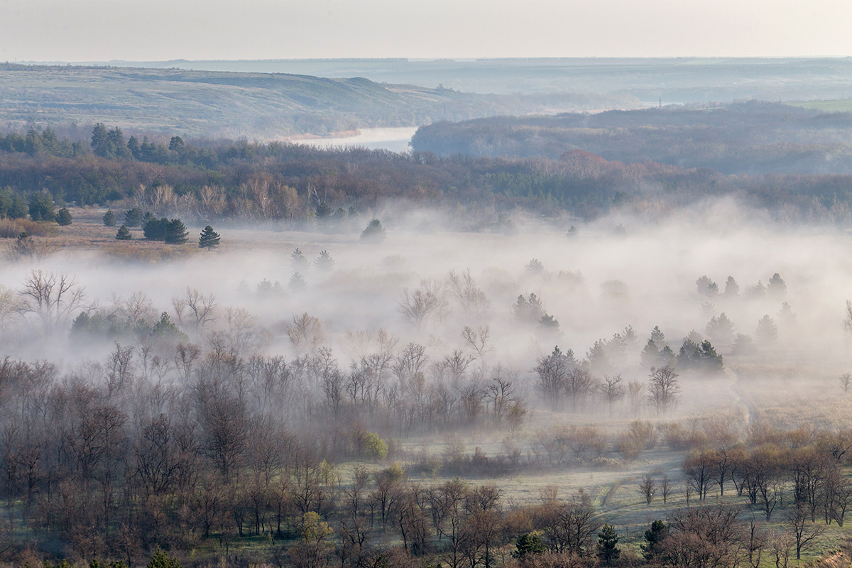 Туманные дали