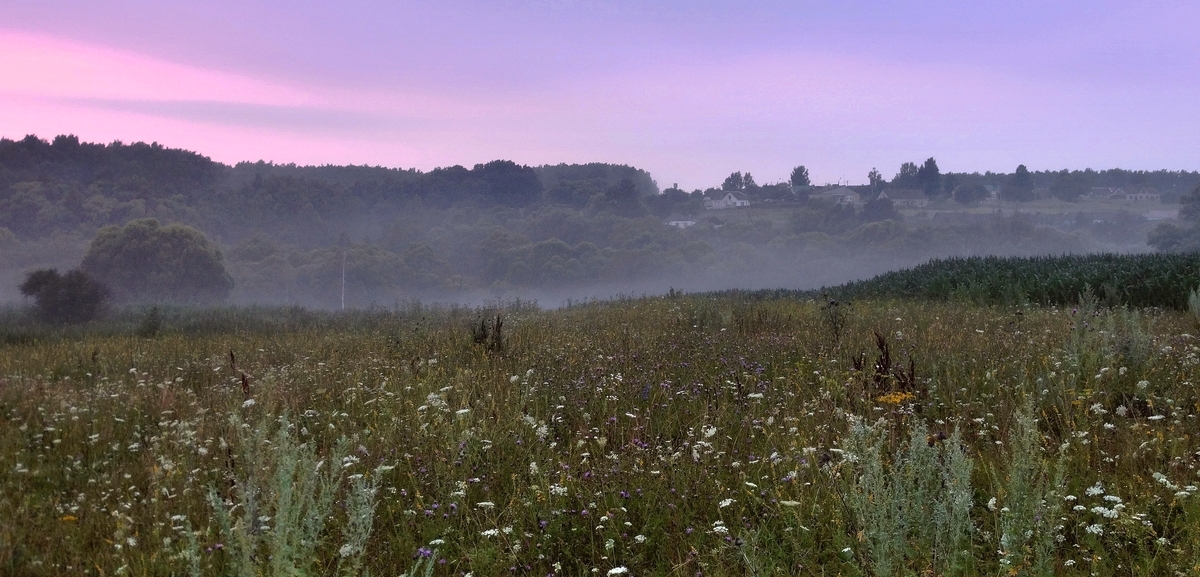 Туманное утро прикрыло село