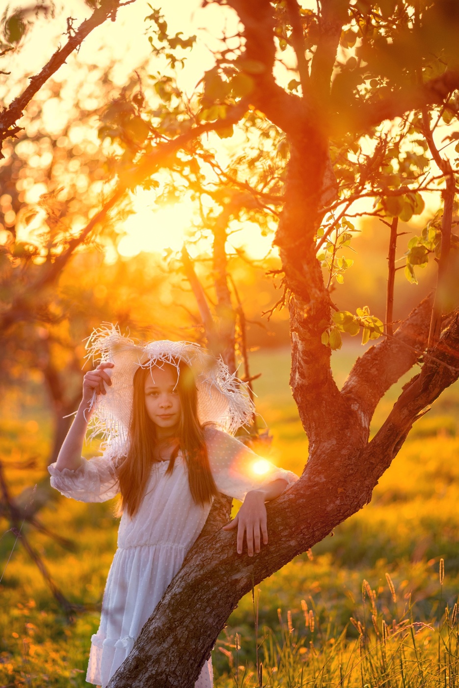 1900-я фотография