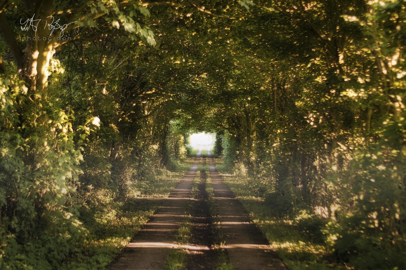 Licht am Ende der Straße