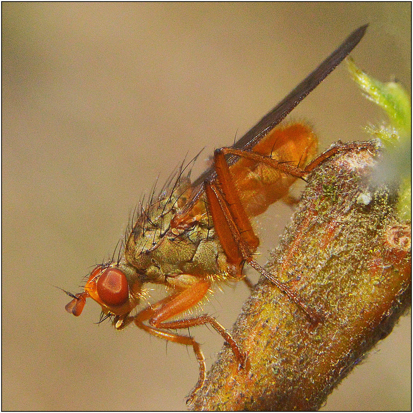 Готовность к взлету.