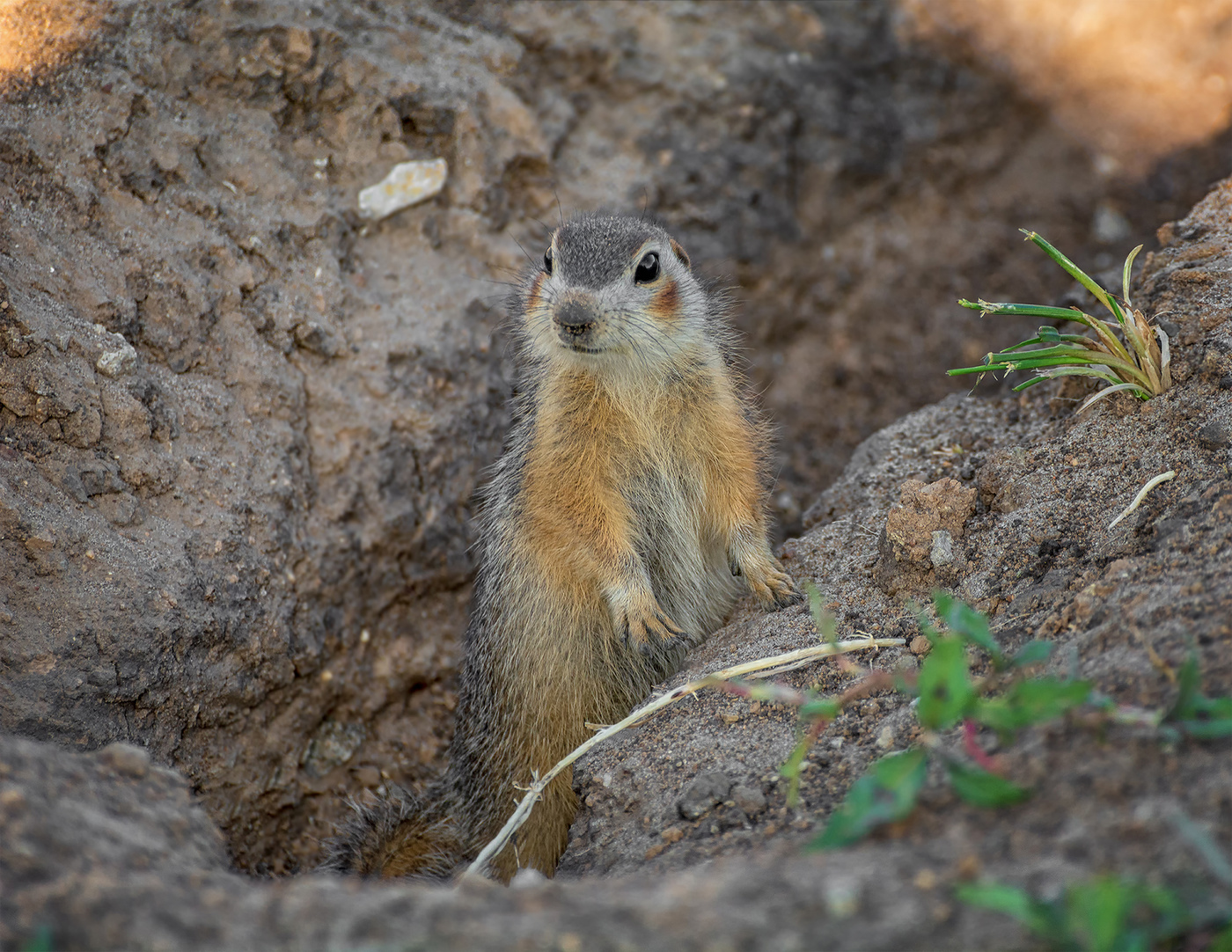 знакомимся..