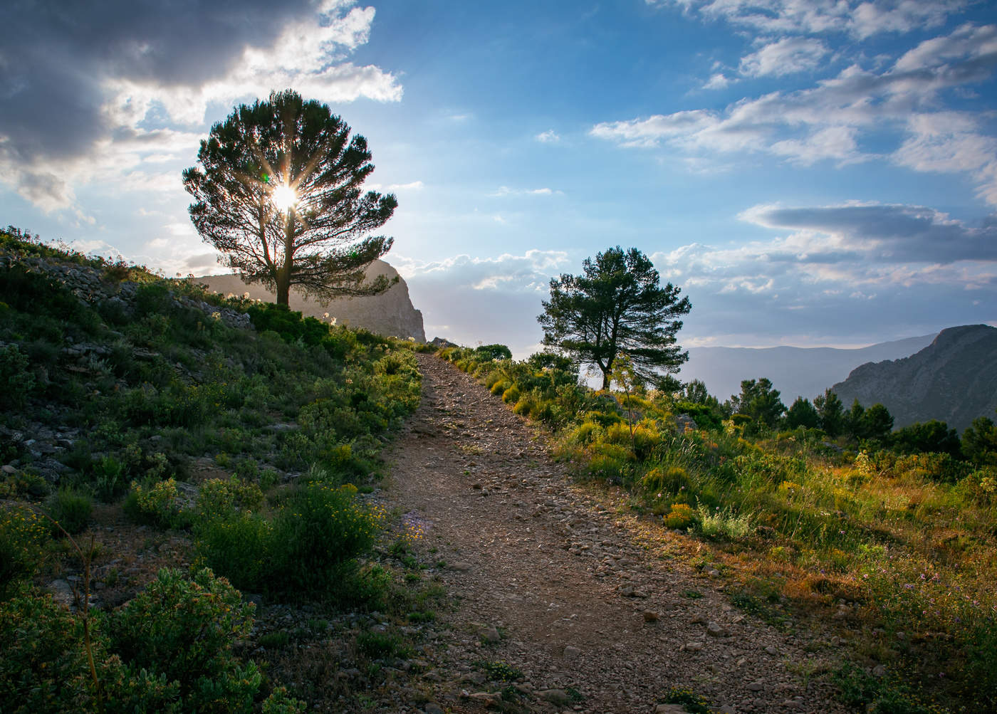 Солнце в горах