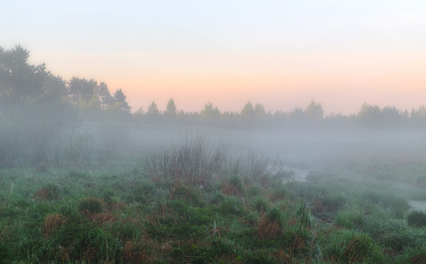 Рассвет на болоте