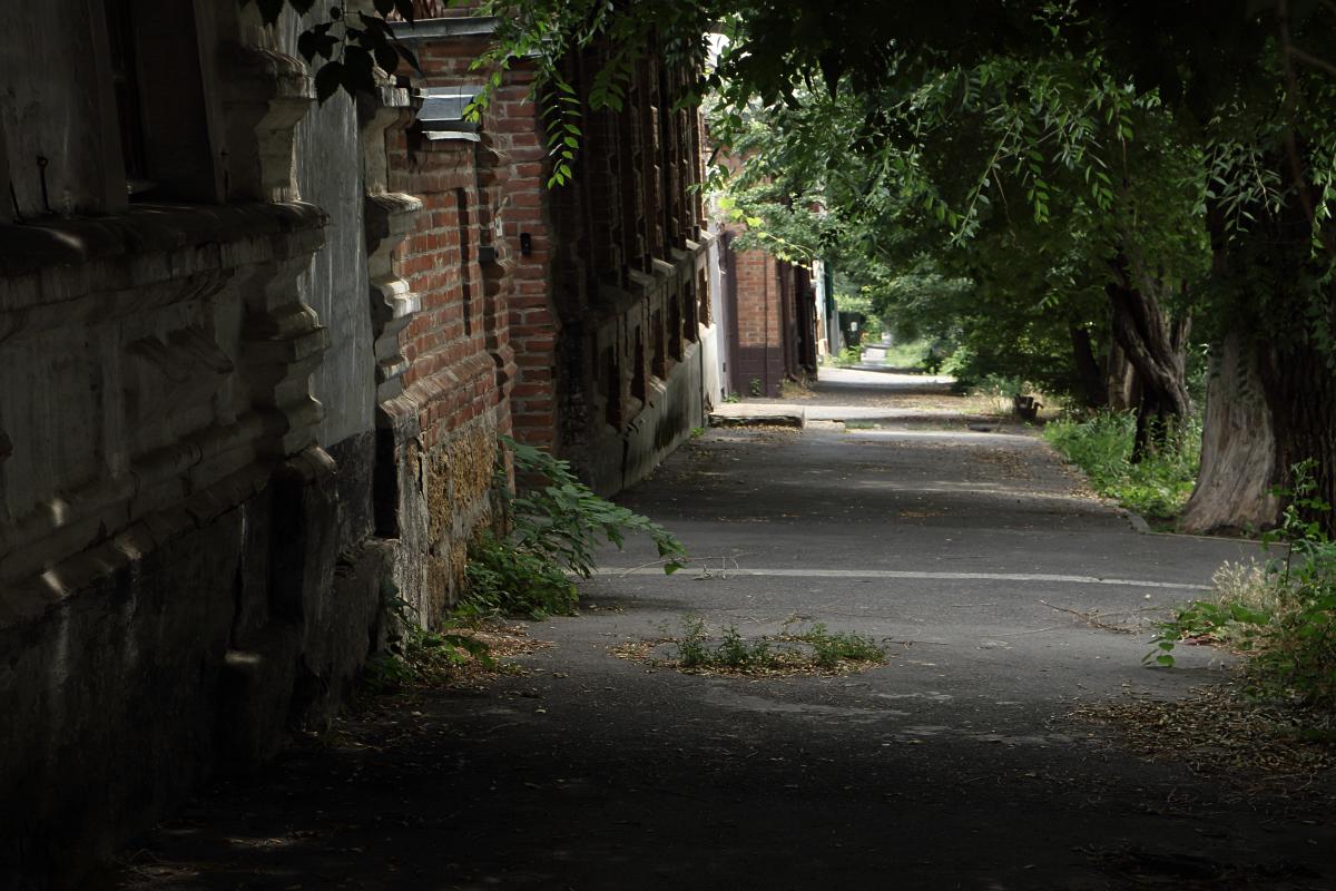 темные аллеи