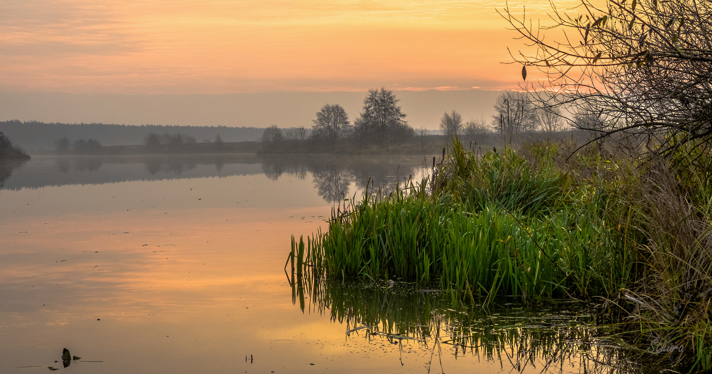 Осеннее утро.