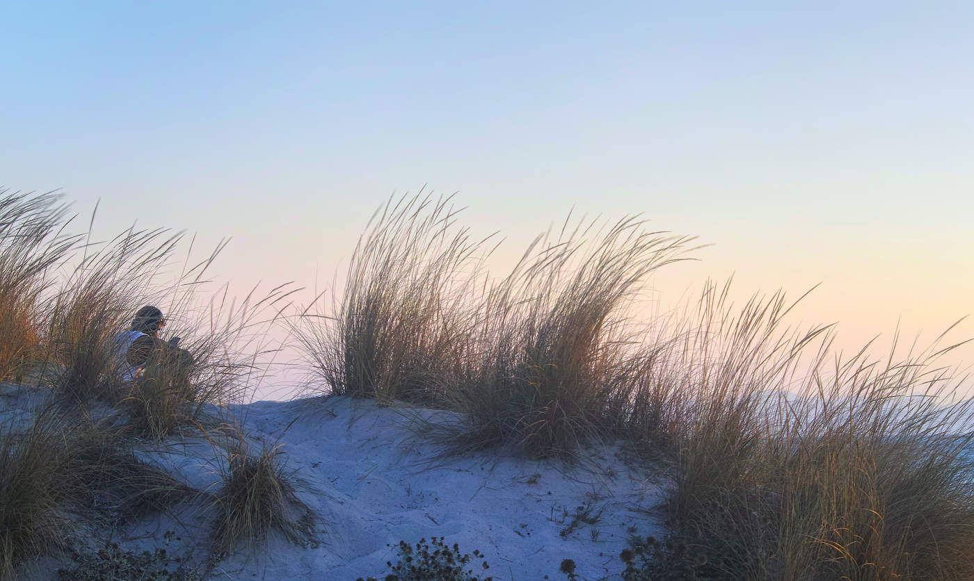 Музыка рассвета