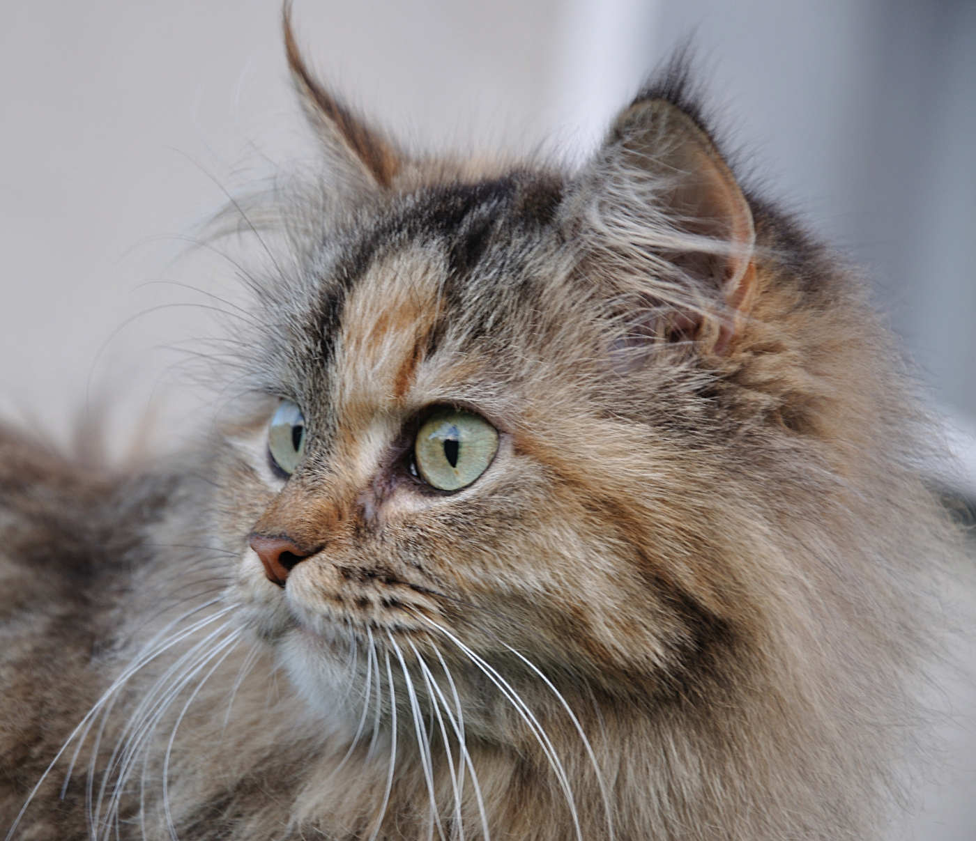 Там...что-то есть!