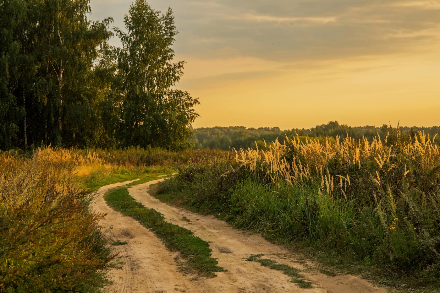 Золотой вечер