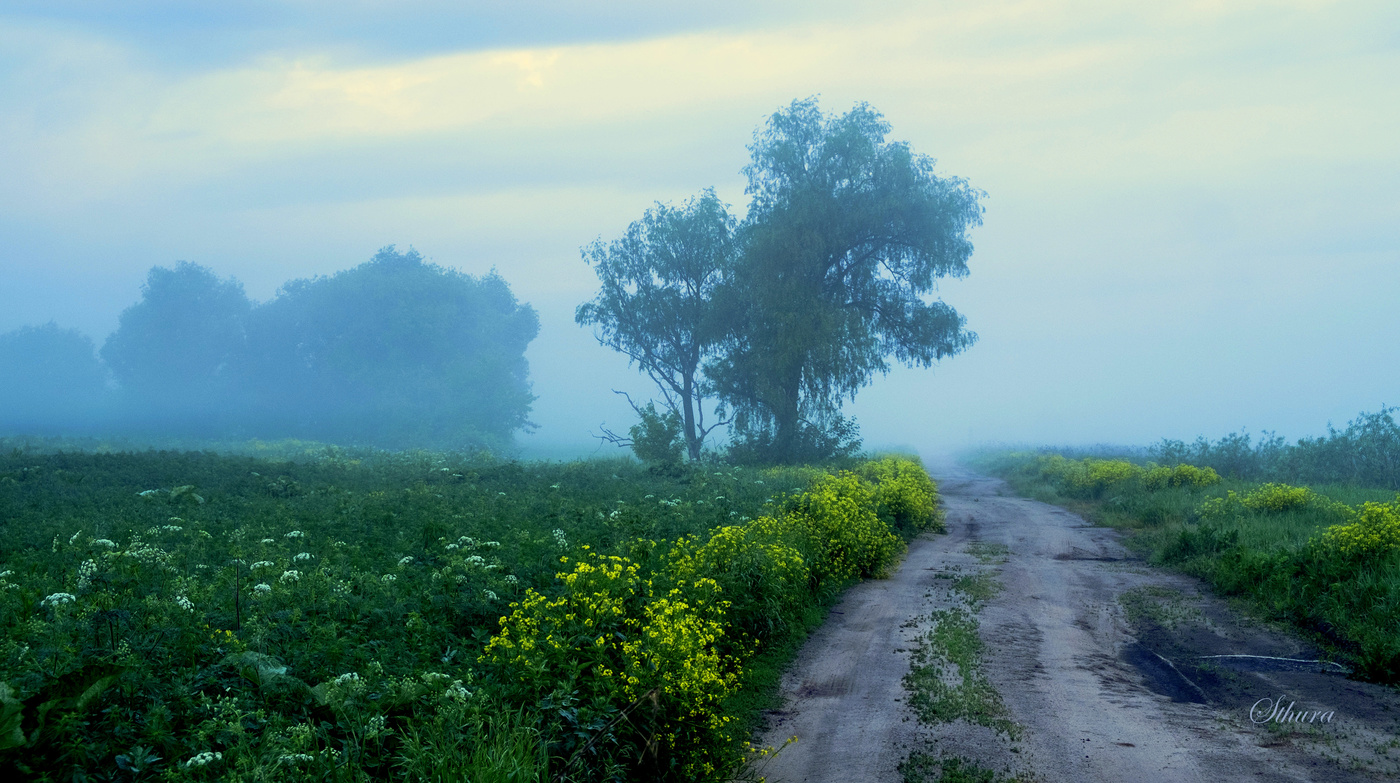 Утро туманное.