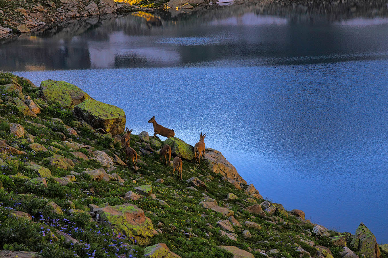 Утро на Большом Софийском озере
