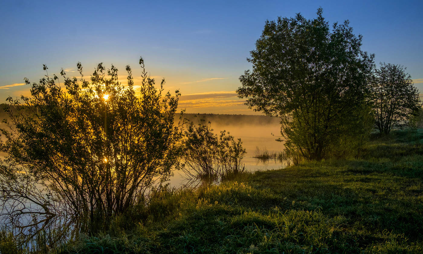 На берегу озера.
