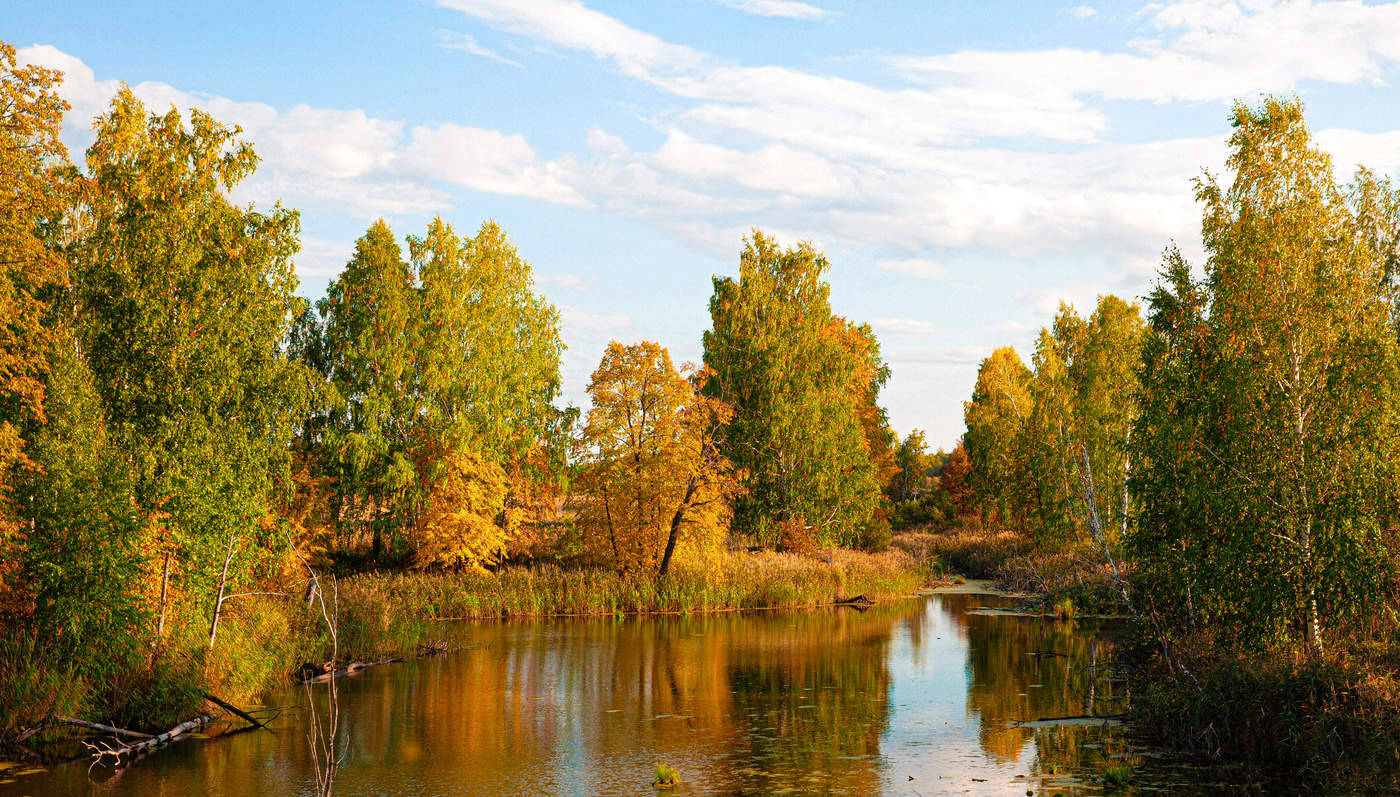 Краски осени