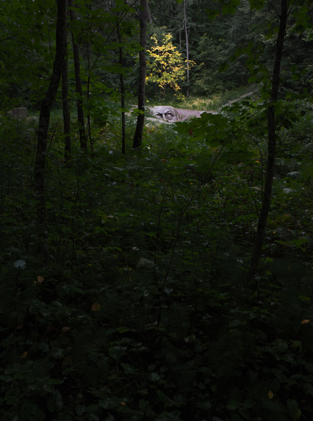 Там чудеса: там леший бродит...- 1