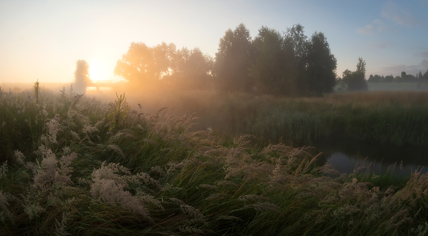 Начинался летний день