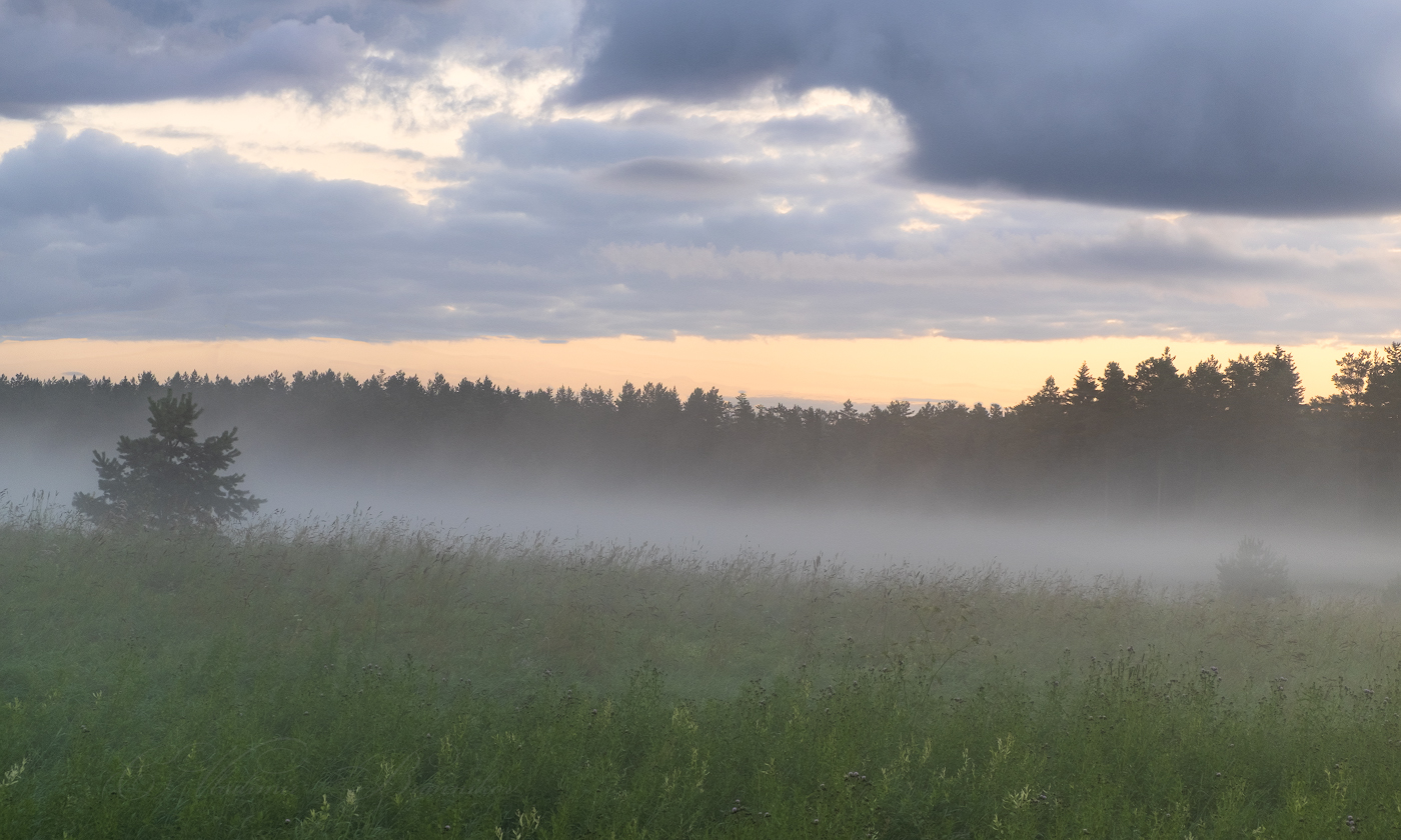Призрачно всё...