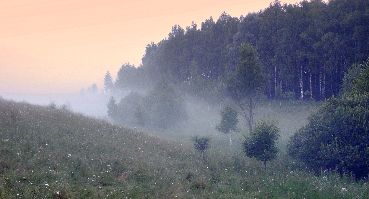 Утренний туман залёг в ложбину
