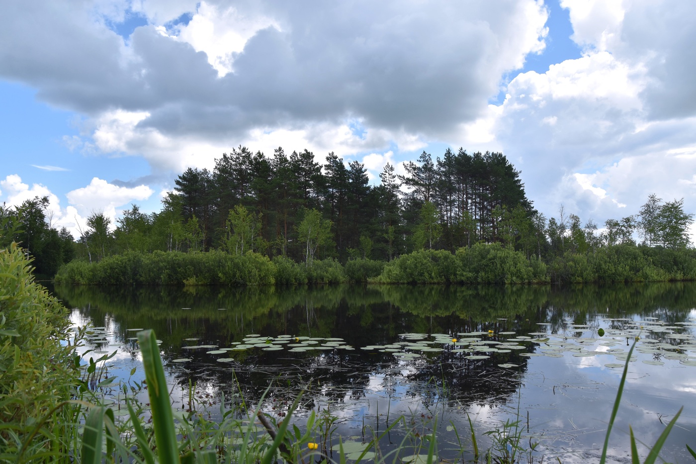 Кажется будет дождь....