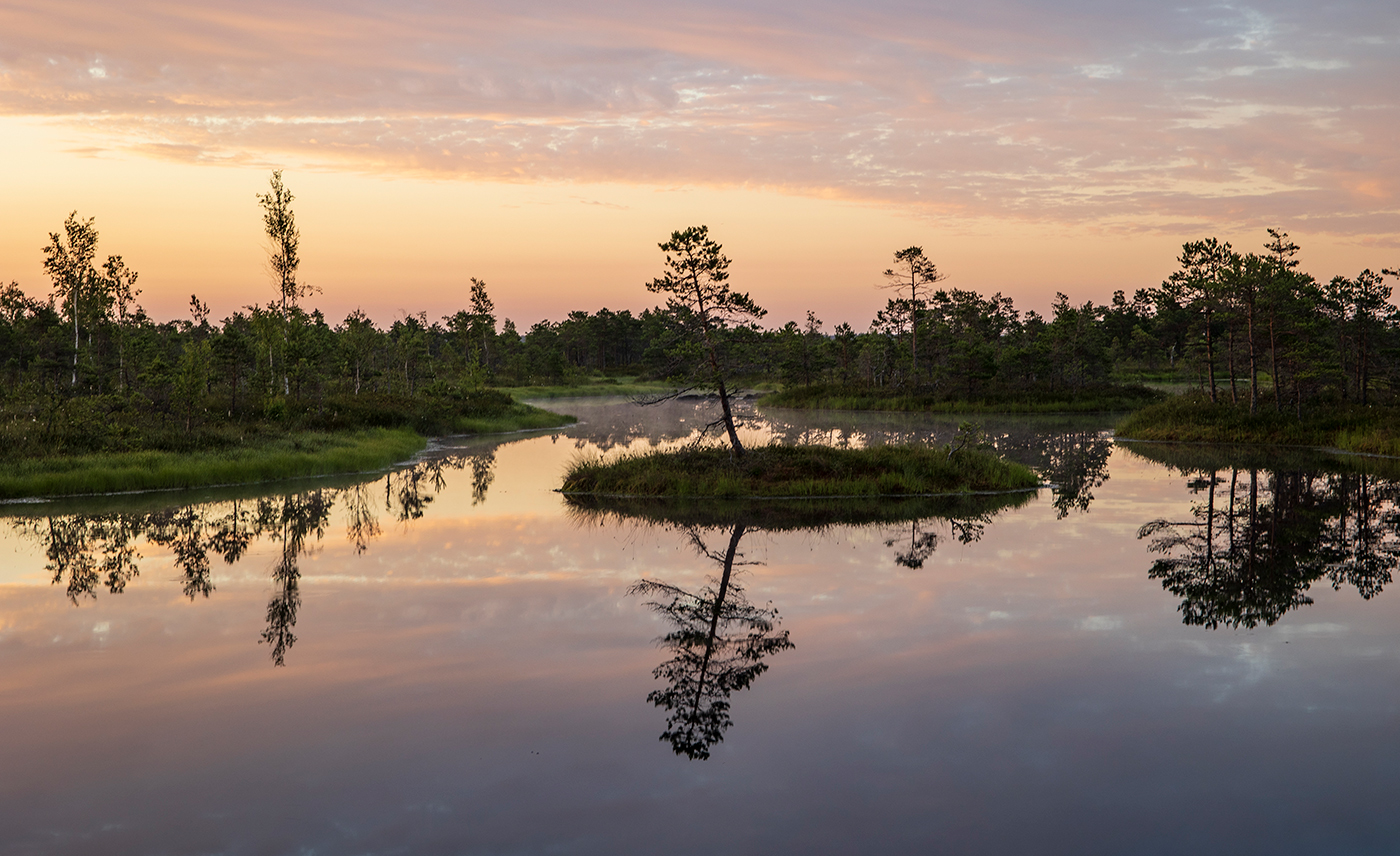 Одиночество