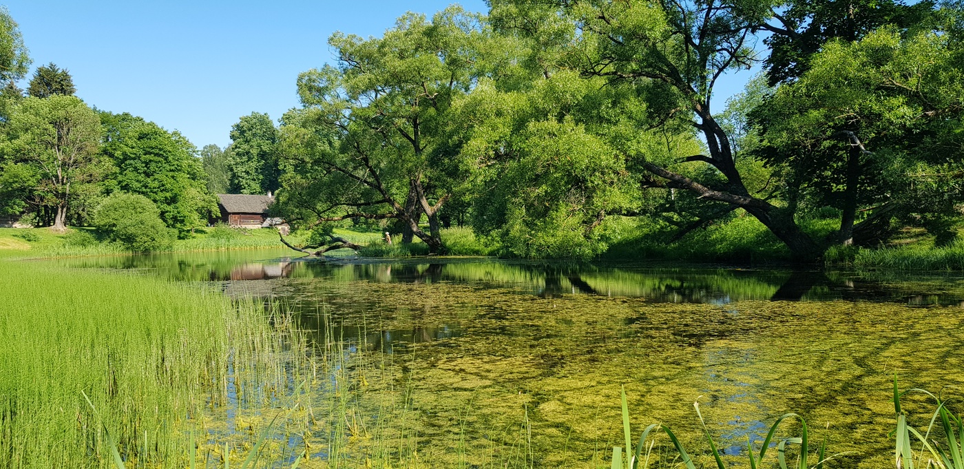 Все, как прежде...