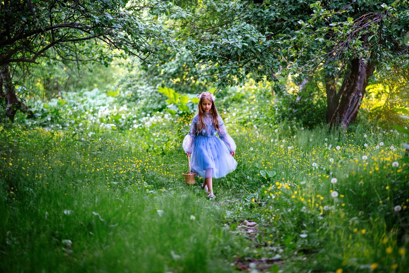 Парковая тропинка