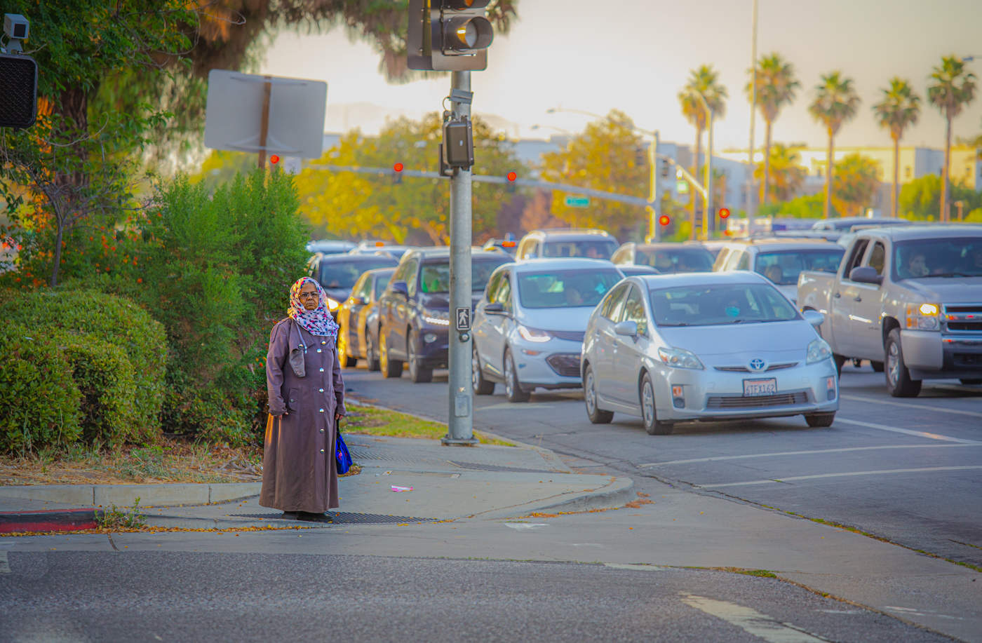 Калифорнийские "джунгли".