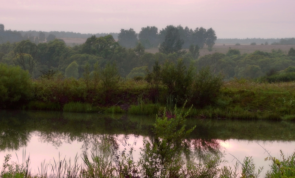 На озере в туманное утро