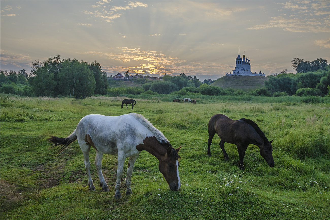 Июль в Епифани