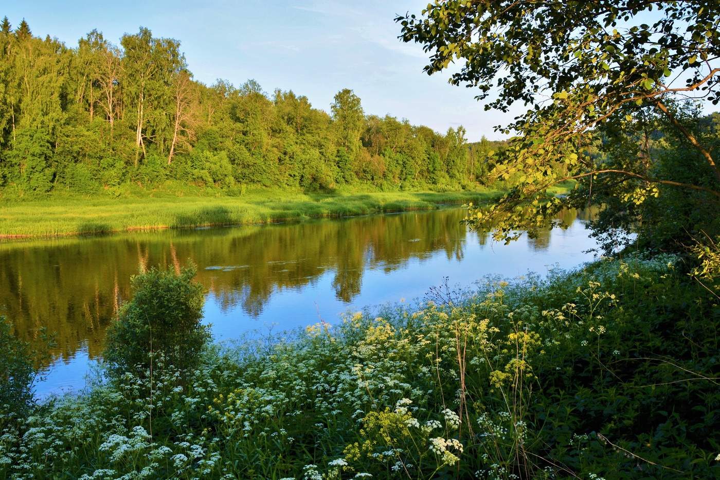 Тишина и дурманящий аромат трав ...
