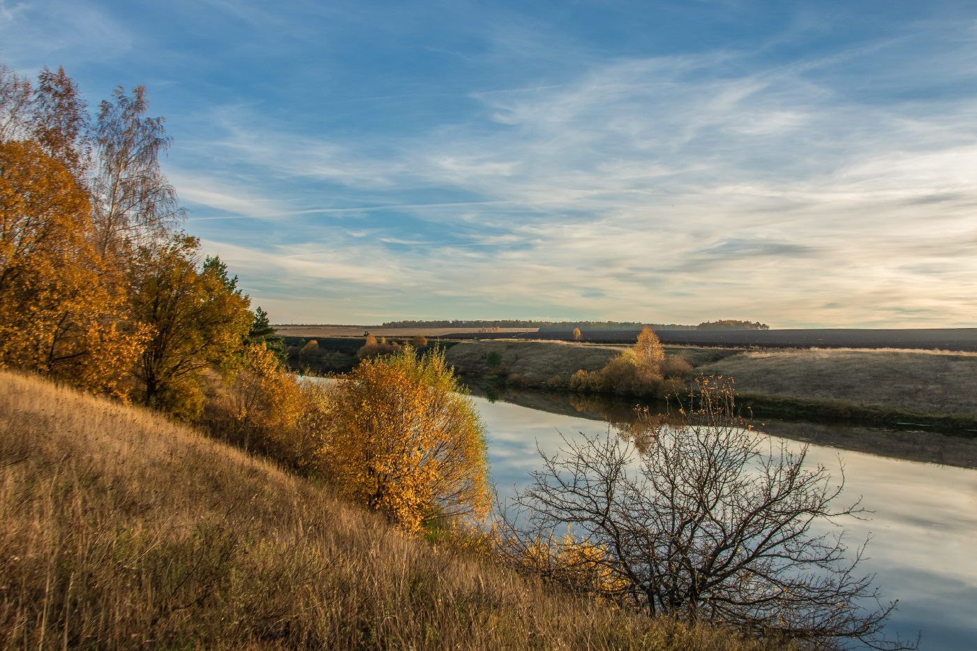 Нарисую осень...желтокрылую...с перламутром красок в синеве...