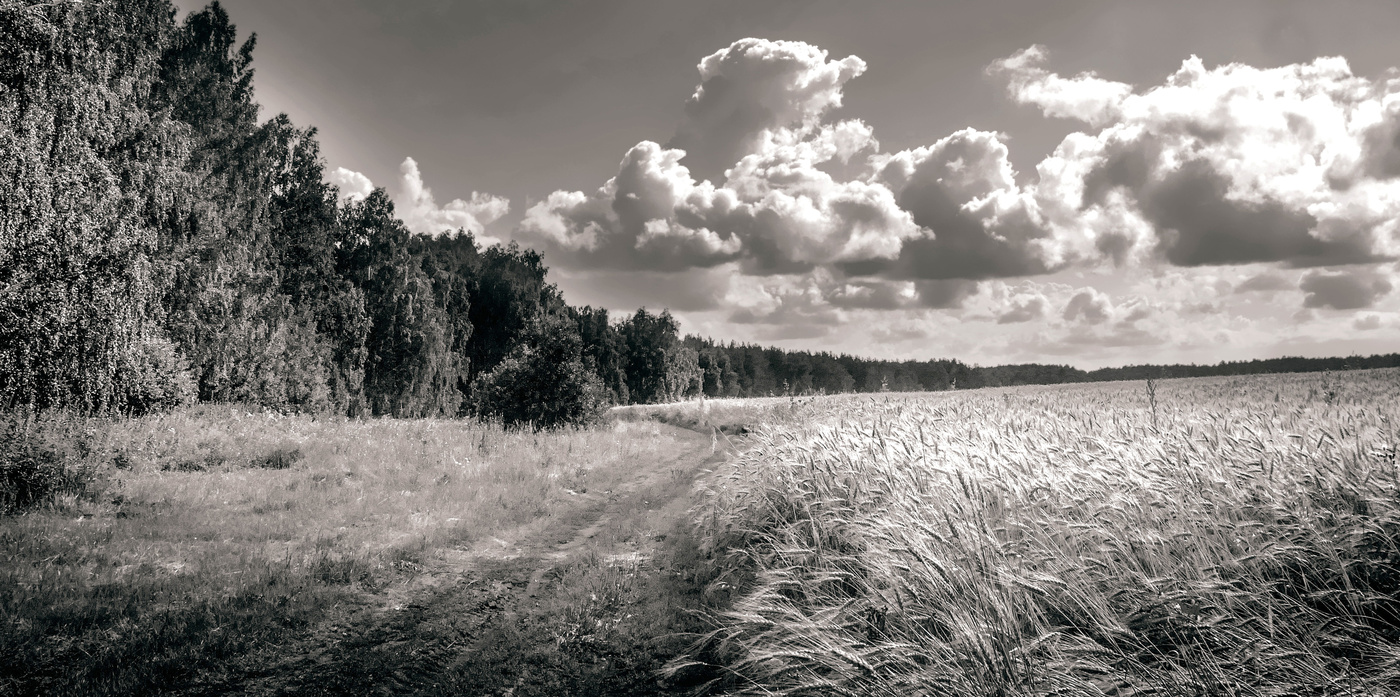 пейзаж с полем и облаками