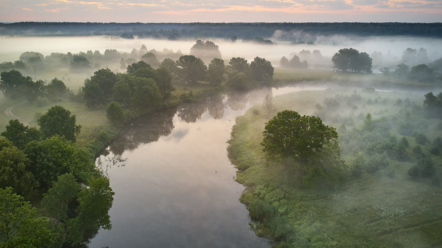 Занималось утро над летней дубравой
