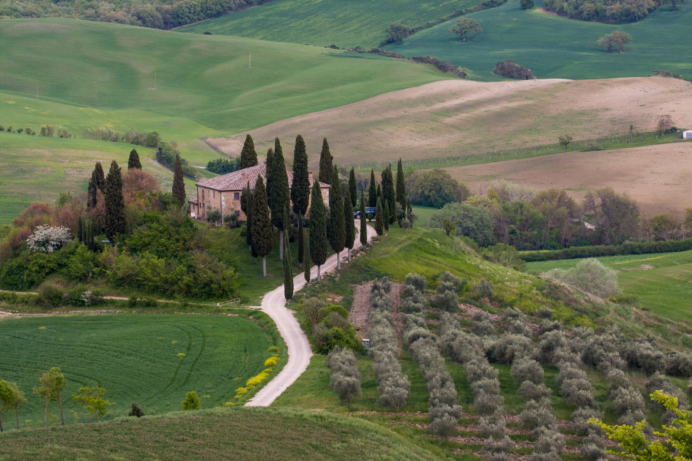 Тоска по Тоскане