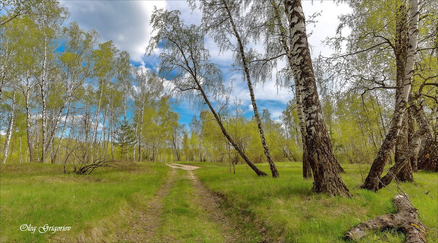 Небо в цвете васильковом ...