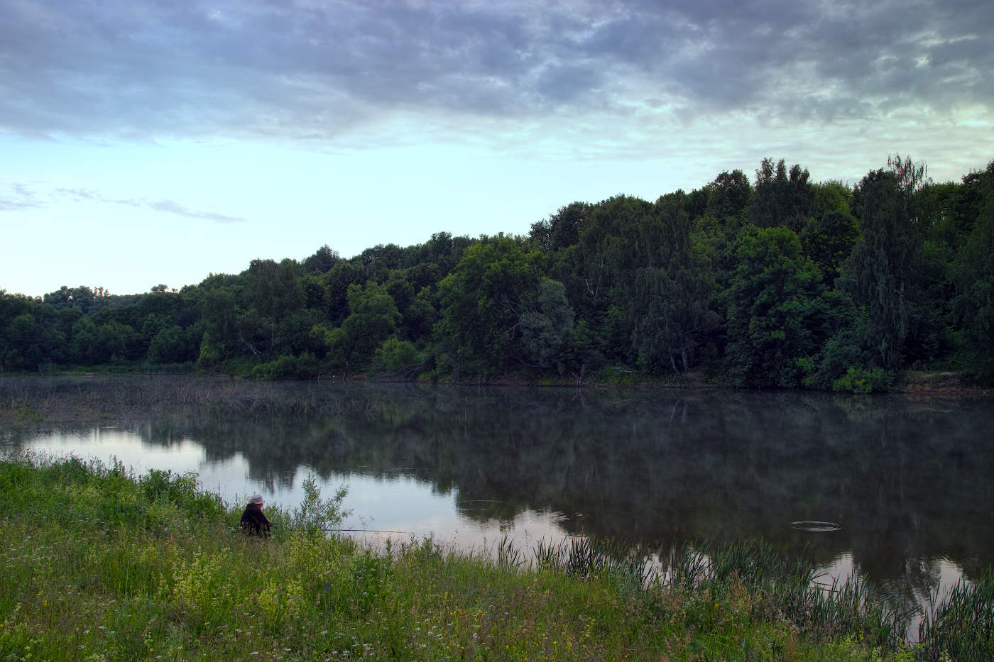 Ранним утром на пруду