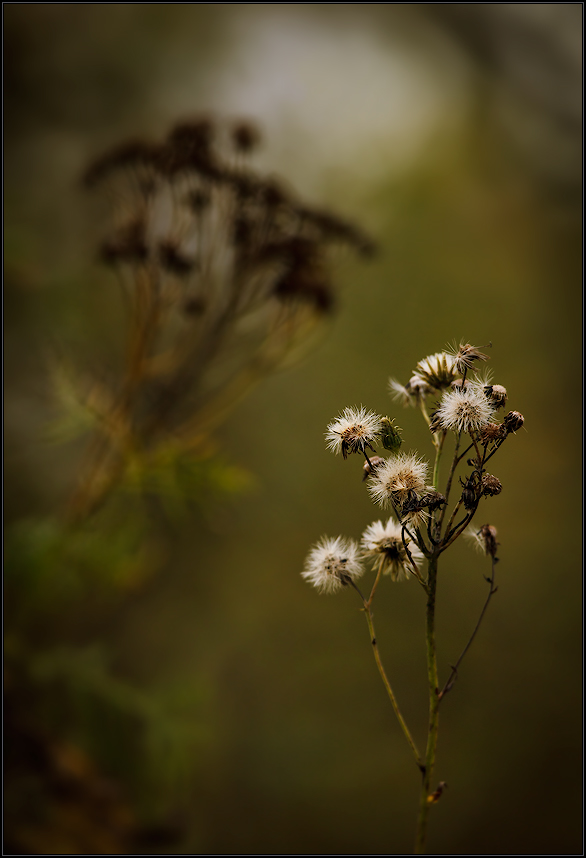 Этюд-настроение 3