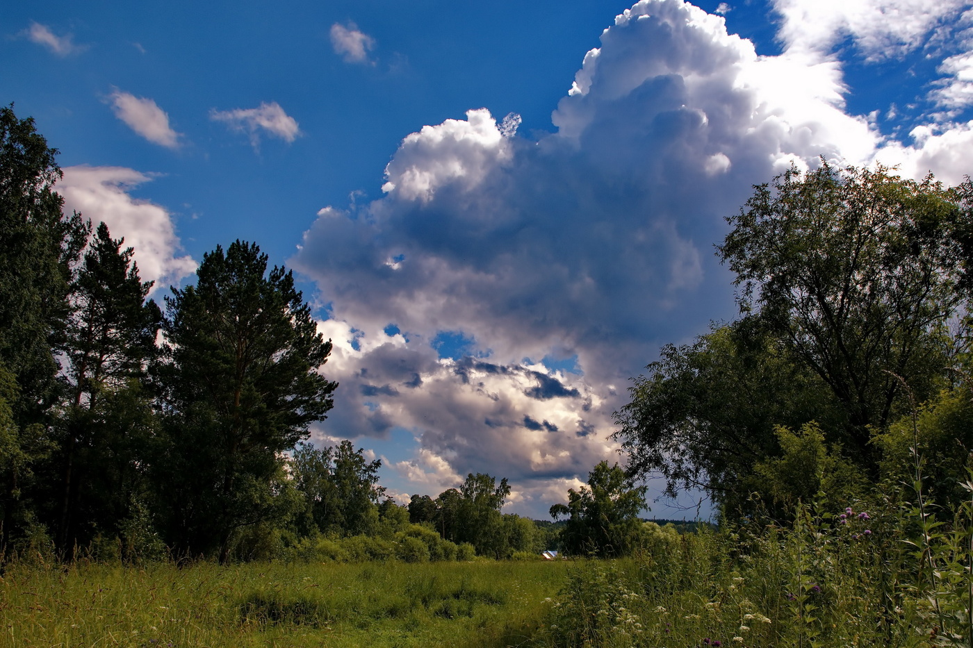 Перед дождём.