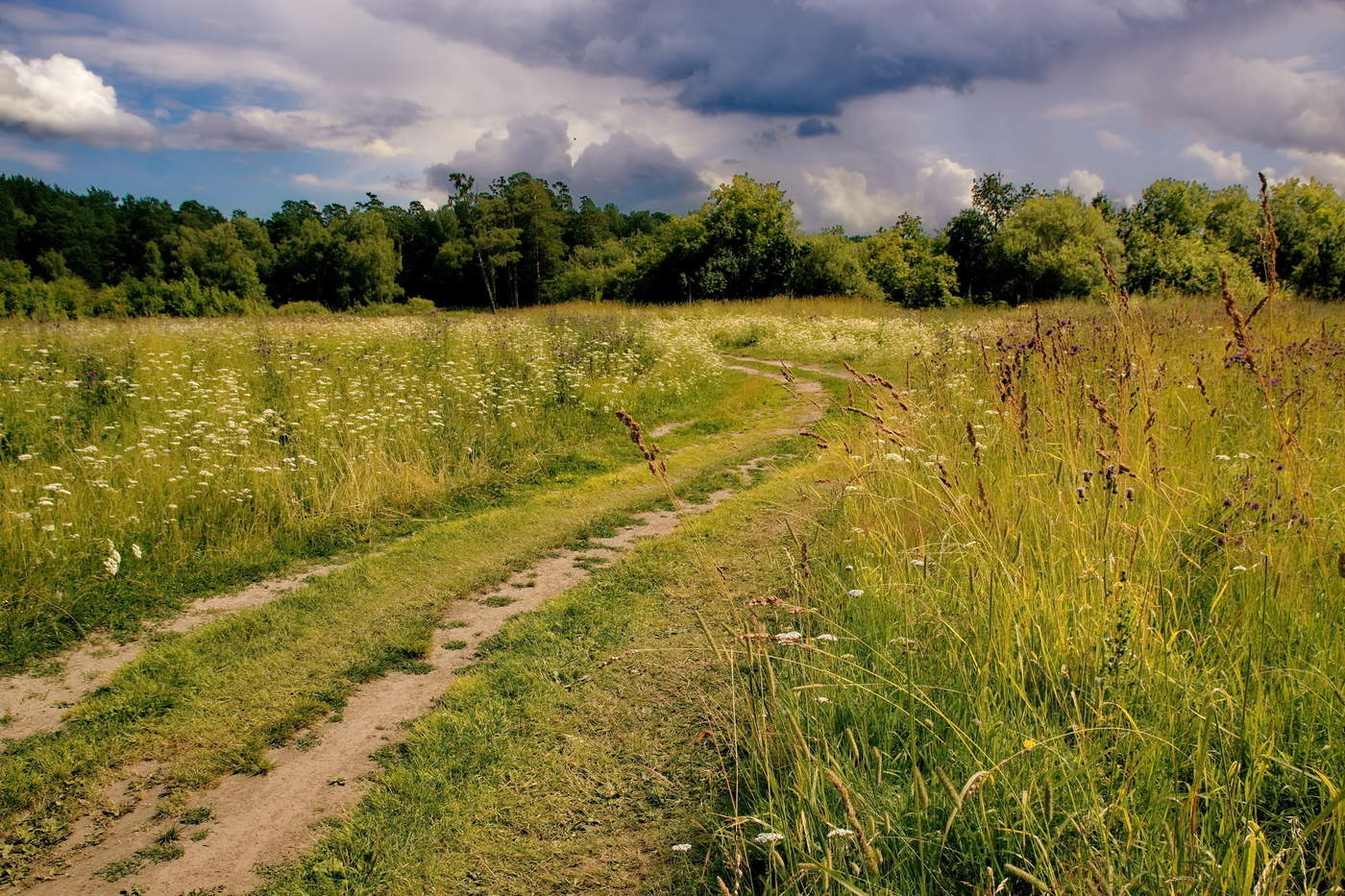 Приближение дождя.