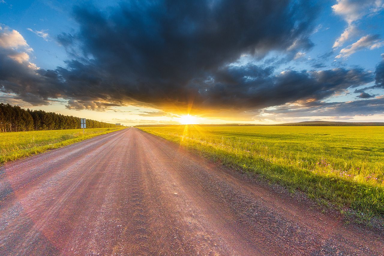 перед дождём