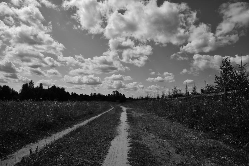 Жизнь вокруг